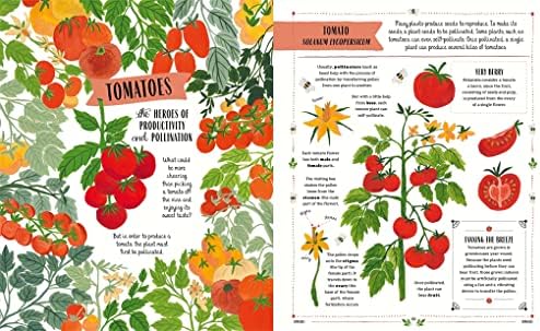 Grow: A first guide to plants and how to grow them