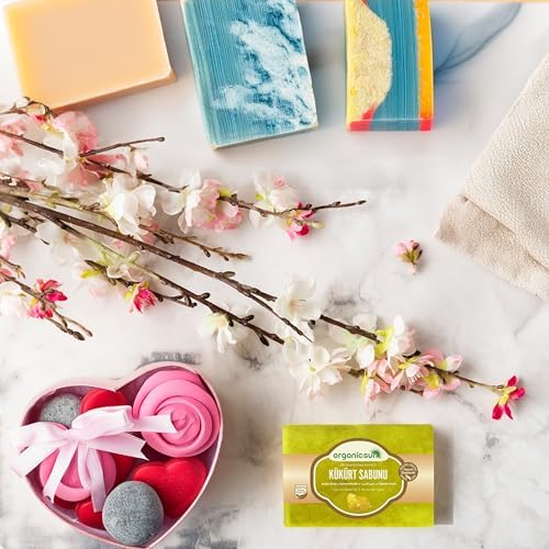 51evIj0holL._AC_SL1500_-1