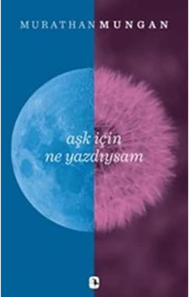 Aşk İçin Ne Yazdıysam