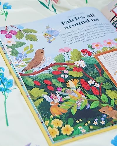 Secret Fairy Club: Discover a hidden Book Within a Book!