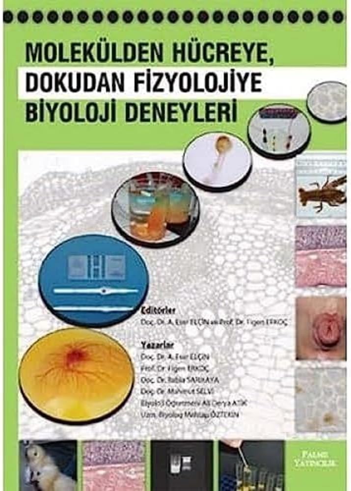 MOLEKÜLDEN HÜCREYE DOKUDAN FİZYOLOJİYE