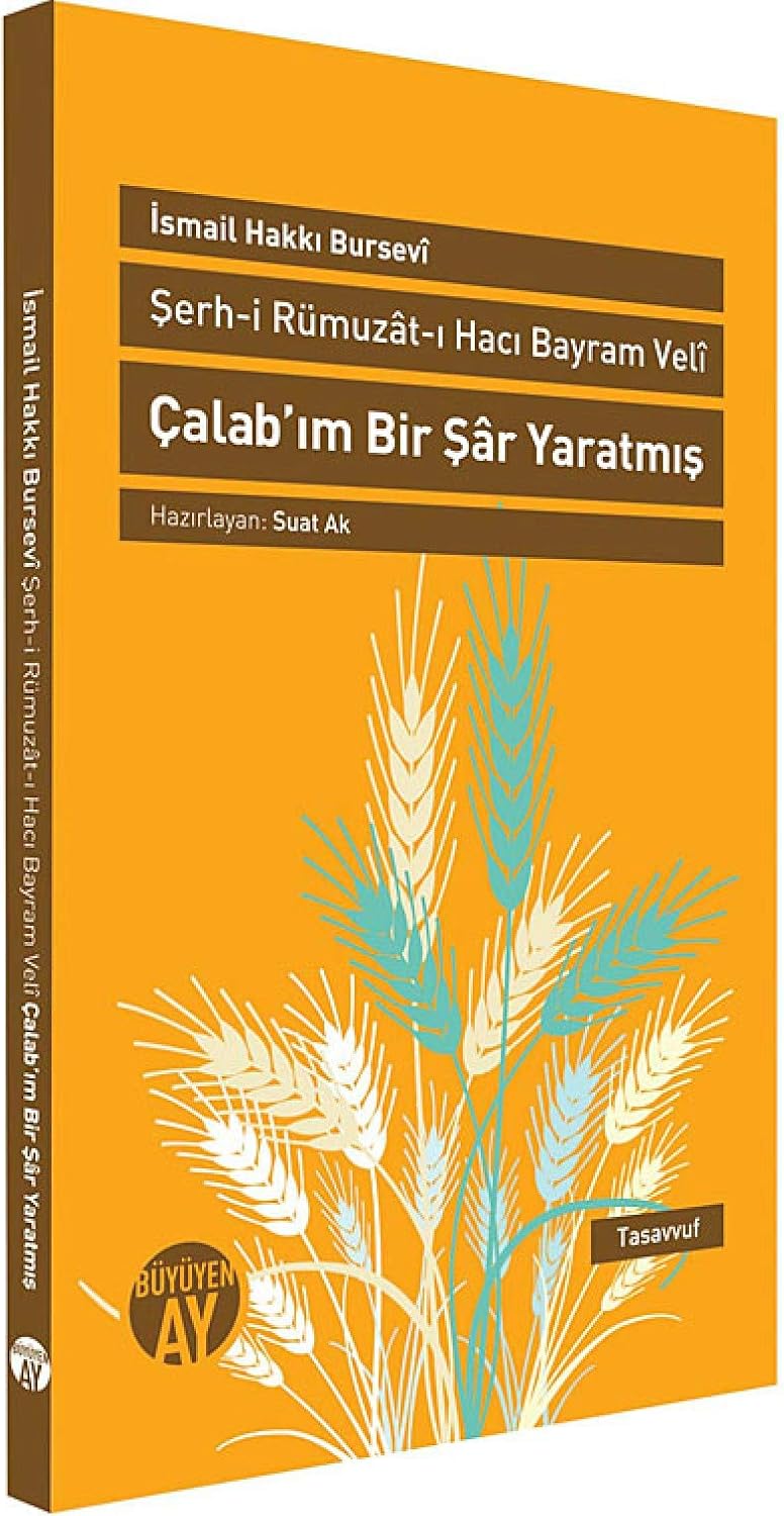 Şerh-i Rümuzat-ı Hacı Bayram Veli - Çalab’ım Bir Şar Yaratmış: Hacı Bayram Veli Hazretleri'ne Ait Manası Gizli Sözlerin Şerhi: Hacı Bayram Veli Hazretleri'ne Ait Manasım Gizli Sözlerin Şerhi