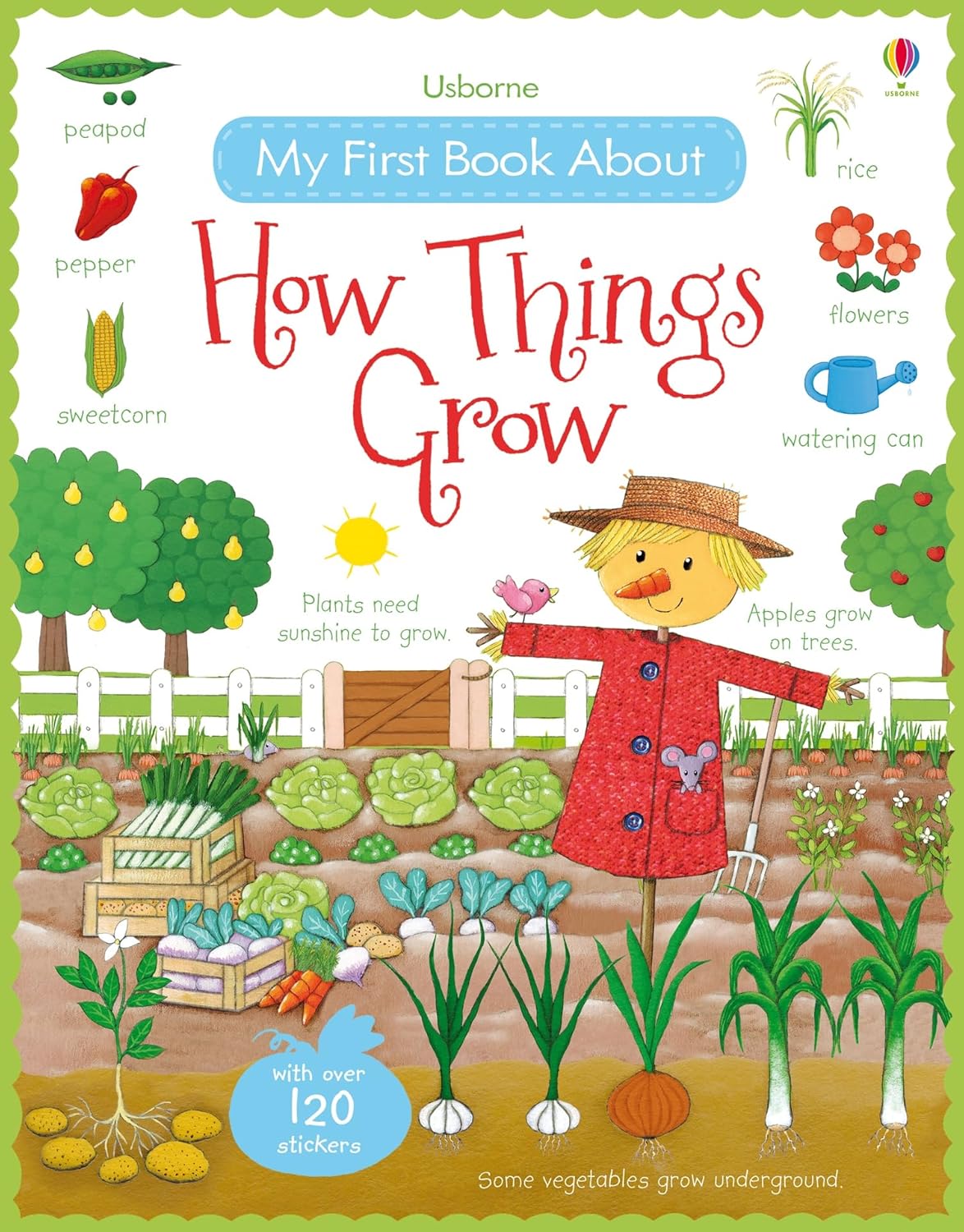 USB - My First Book About How Things Grow Sticker Book