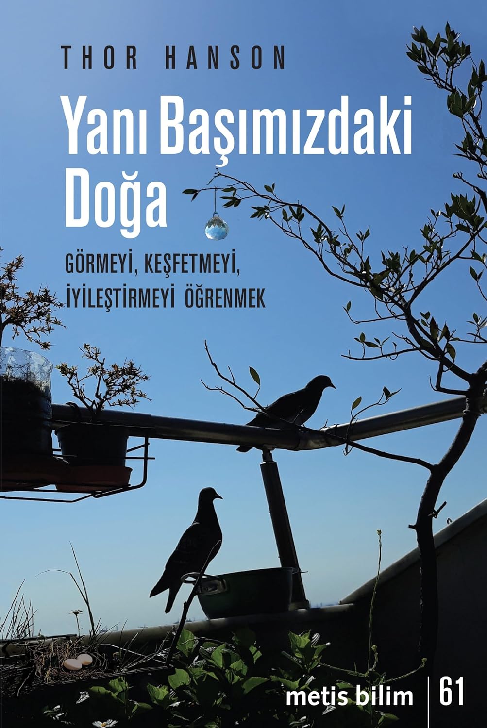 Yanı Başımızdaki Doğa