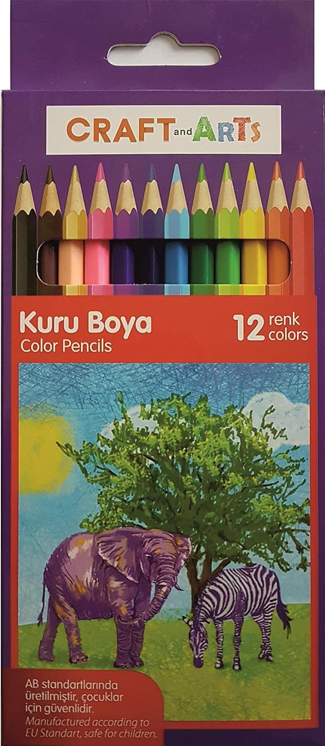 and Arts Kuru Boya 12'li Paket