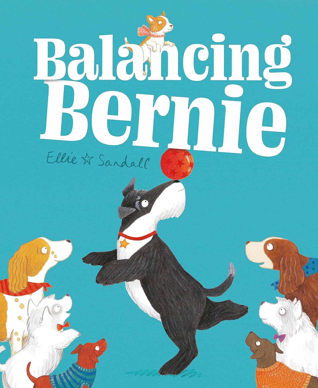 Balancing Bernie