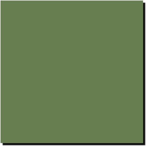 MODELS ABD İç Yeşil FS 34151, MIOMMP059