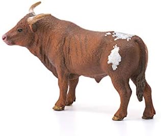 13866 T Longhorn Boğa, Renkli