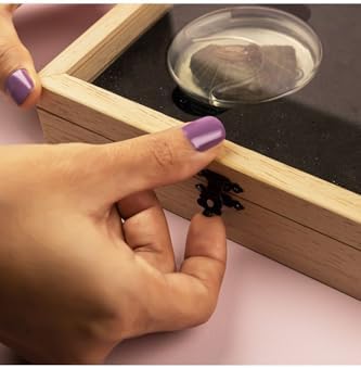 3198NoGo9tL._AC_SL1500_-1