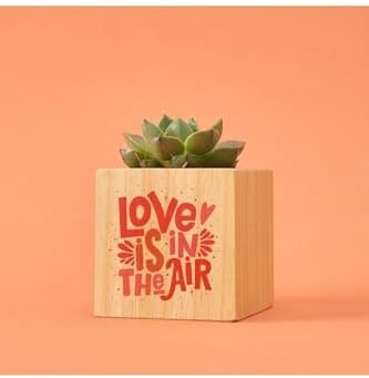 Tasarımlı Aşk Hediye Kutusu