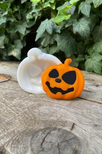 Balkabağı Tekli Mum Kalıbı (Silikon)