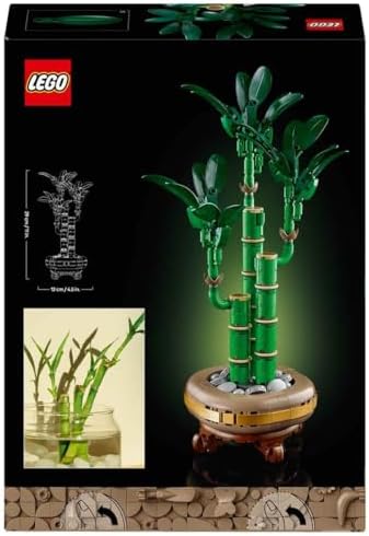 Şans Bambusu 10344 – Yetişkin Kadın ve Erkekler için Bambu Sapları, Çakıl Taşları ve Ahşap Efektli Saksı İçeren Dekoratif Bitki Seti, Ev ve Ofis Dekorasyonu Hediye Fikri (325 Parça)