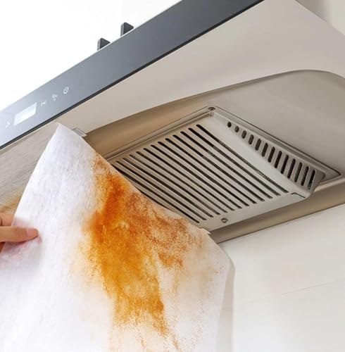 2'li Yağ Emici ve Duman Önleyici Pratik Mutfak Davlumbaz Koruyucu Dayanıklı Yedek Filtre 45x90 cm