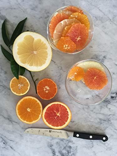 384101310 Çok Amaçlı Bıçak