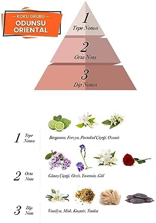 41HGa1cgQvL._AC_SL1500_-1