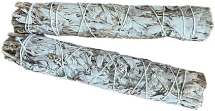 California 22cm Tütsü Demeti -%100 Doğal ve Sürdürülebilir Üretim - 2'li Set