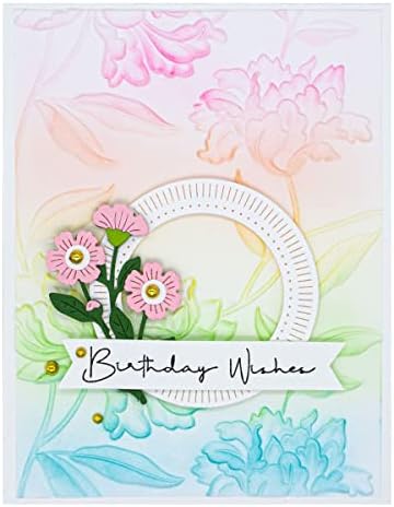 41LUBCn3xnL._AC_SL1500_-1