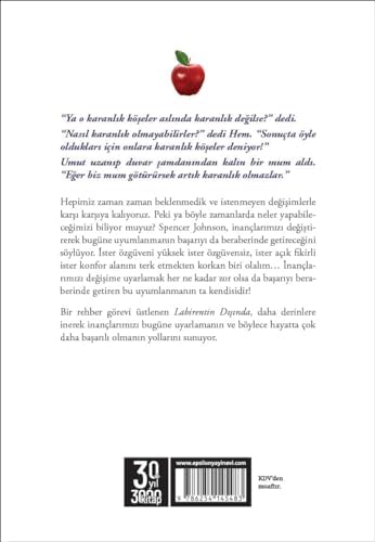 Labirentin Dışında