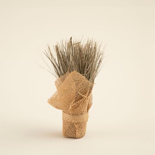 Alexa Jütte Kuru Çiçek Natural