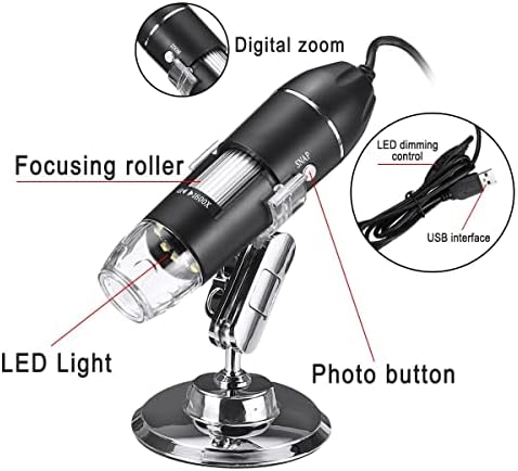 41QeI1udWkL._AC_SL1500_