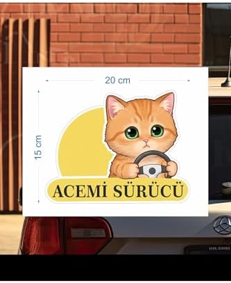 Parti Tasarla Acemi Sürücü Sevimli Kedi Araba Etiketi & Çok Renkli