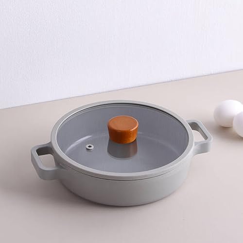 Alüminyum Gri Cam Kapaklı Döküm Sahan 20 Cm