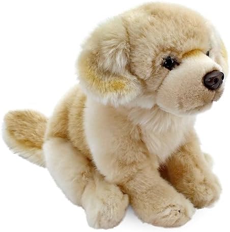 41bndtQfy0L._AC_SL1500_-1