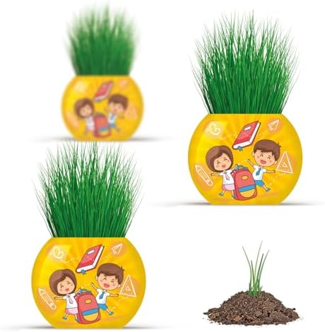 Okul Temalı Çim Adam 6'lı Set – Çocuklar İçin Eğitici ve Eğlenceli Bitki Yetiştirme Kiti
