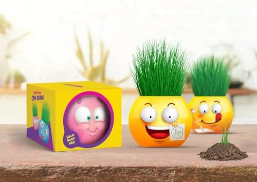 Emoji Temalı Çim Adam 6'lı Set – Çocuklar İçin Eğitici ve Eğlenceli Bitki Yetiştirme Kiti
