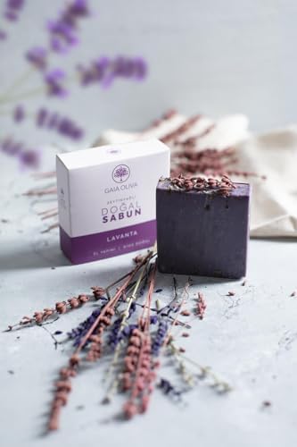 41dVui5Z-oL._AC_SL1500_-1