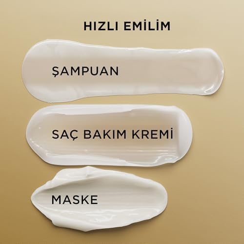 41tz3YkUYvL._AC_SL1500_-3