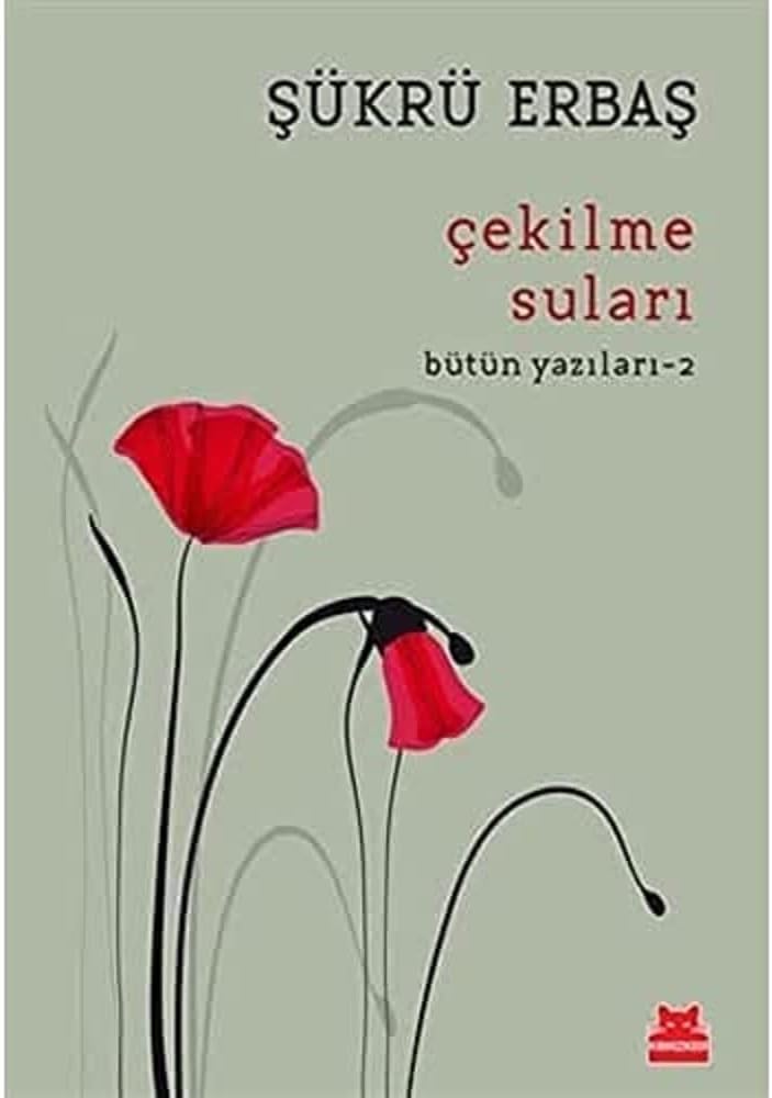 Çekilme Suları: Bütün Yazıları - 2