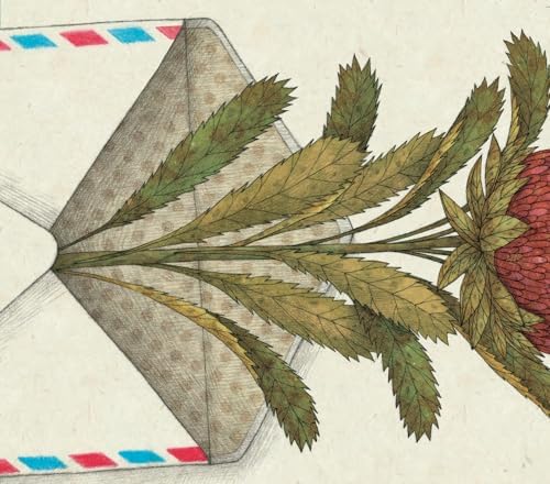 Bir Dostluk Masalı (Ciltli)