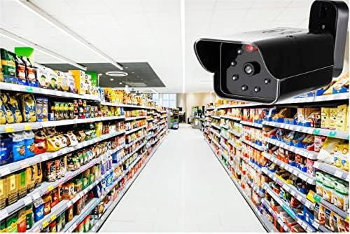 LR-D12IR Gece Görüşlü Görünümlü Caydırıcı Sahte Kamera, Güvenlik Kamerası