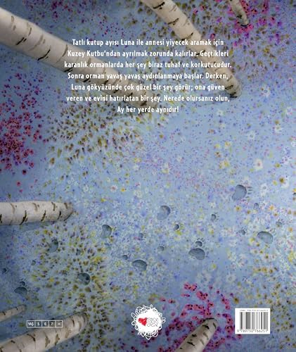 Ay Her Yerde Aynıdır