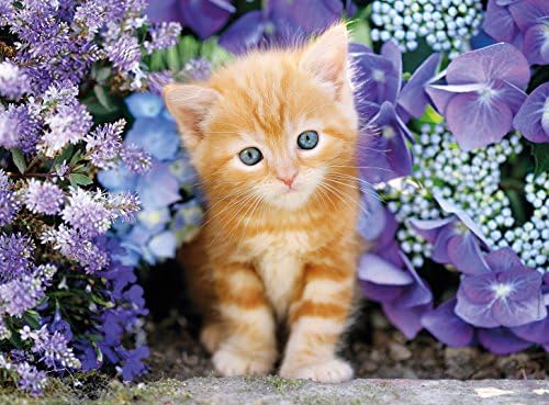 - 500 Parça HQ Yetişkin Puzzle - Ginger Cat In Flowers