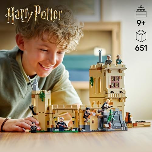 Potter Hogwarts Şatosu: Uçuş Dersleri 76447-9 Yaş ve Üzeri Çocuklar ve Yetişkinler için Koleksiyonluk Oyuncak Yapım Seti, Doğum Günü Hediyesi (651 Parça)