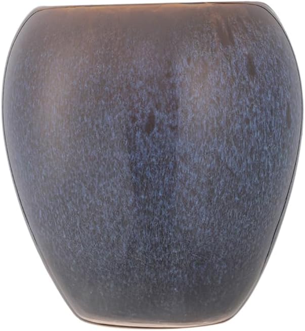 Balsas Diş Fırçalık