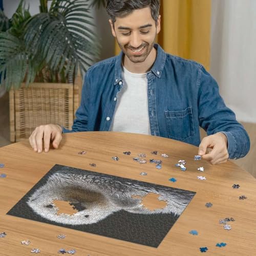 51sFnFO6bsL._AC_SL1500_-1