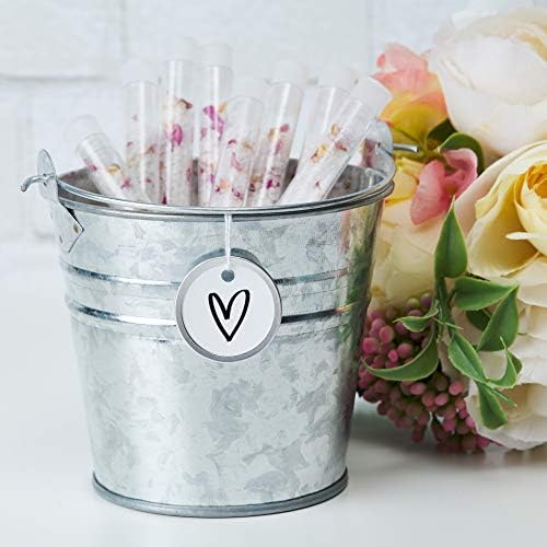 51zL6Tk6rcL._AC_SL1500_-1