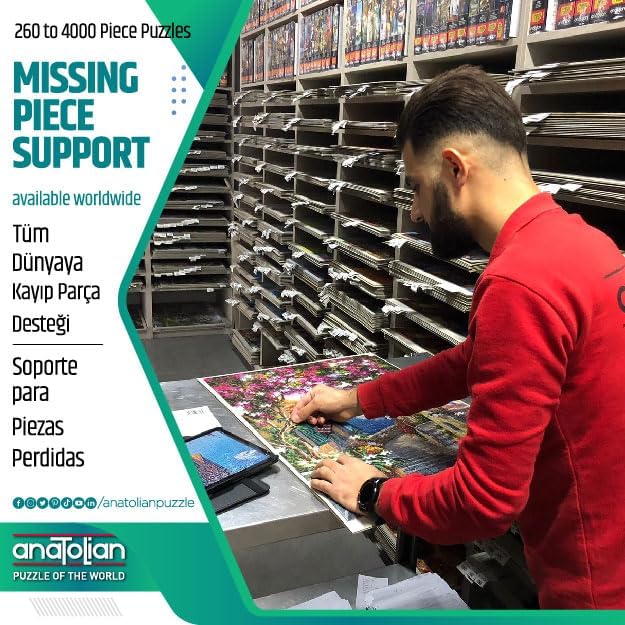 61-jsmMJwTL._AC_SL1500_-6