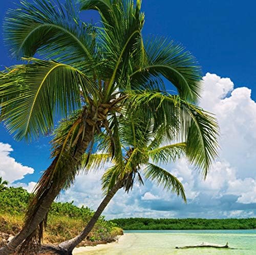 Heye Puzzle Paradise 2000 Parça Panorama