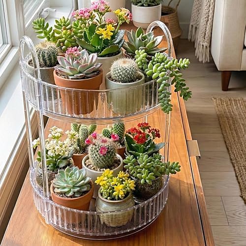 2 Katlı Makyaj Organizeri Kozmetik Aksesuar Düzenleyici Kozmetik Vitrini Yuvarlak (Şeffaf)