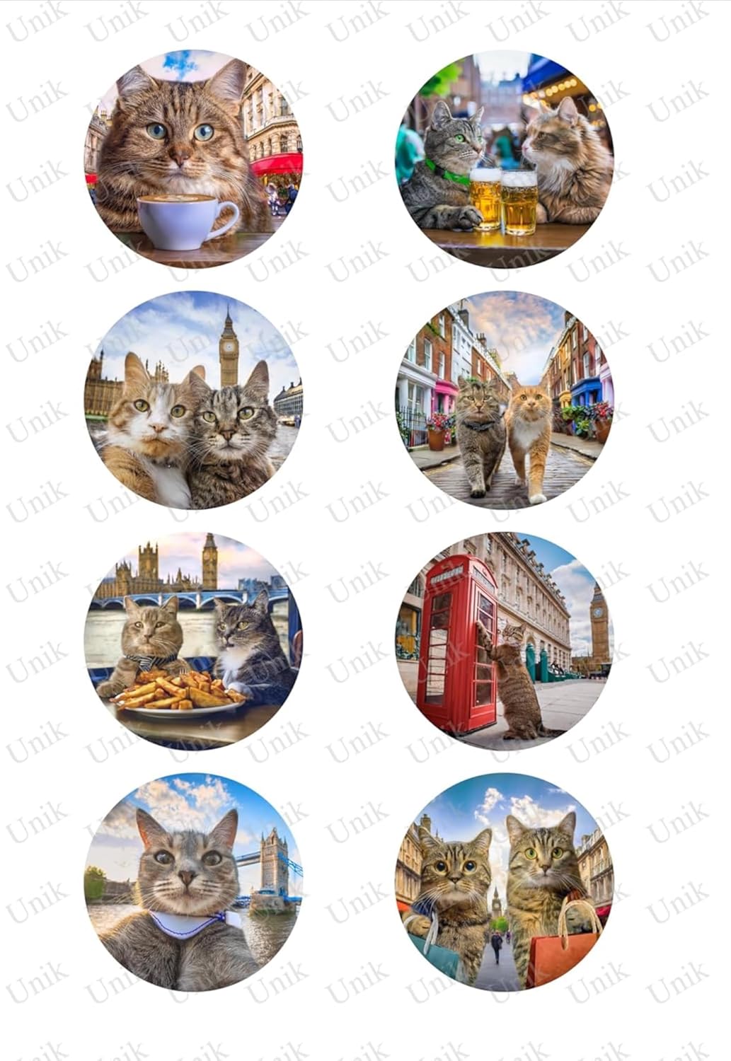 Cats in London - Londra'da Kediler - Tek Sayfa 8 Set