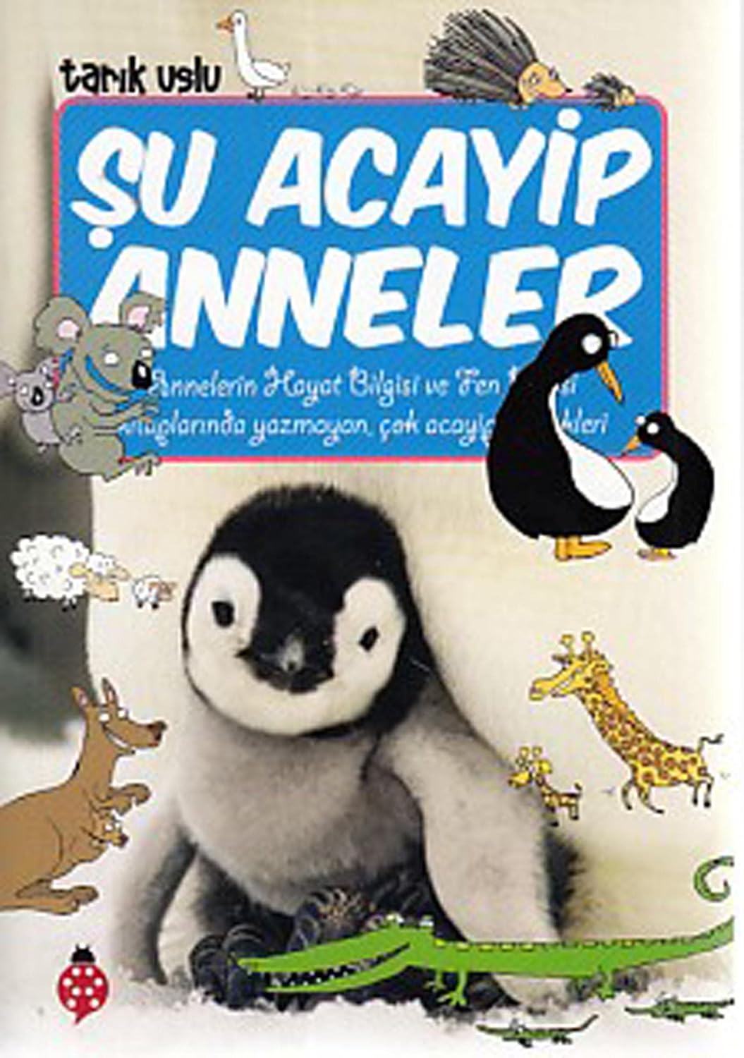 Şu Acayip Anneler