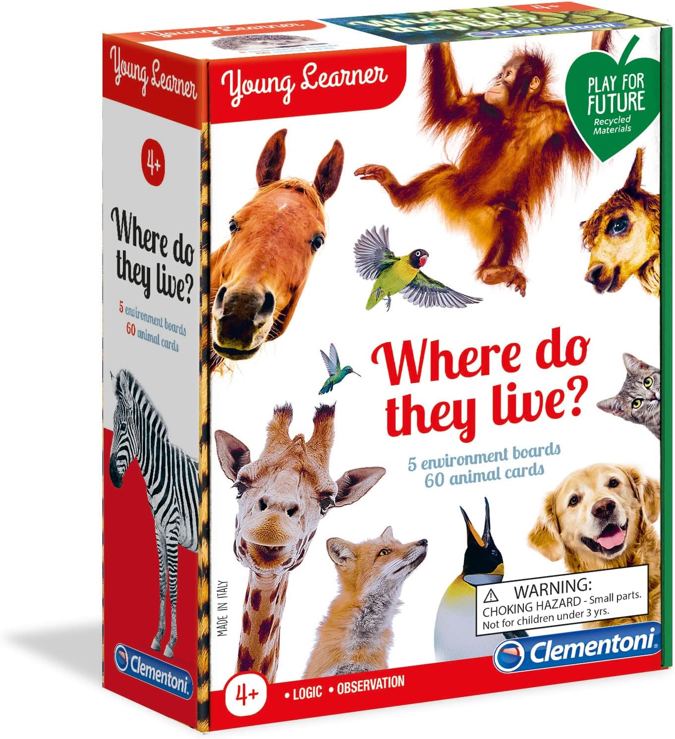 Education Young Learner Nerede Yaşarlar