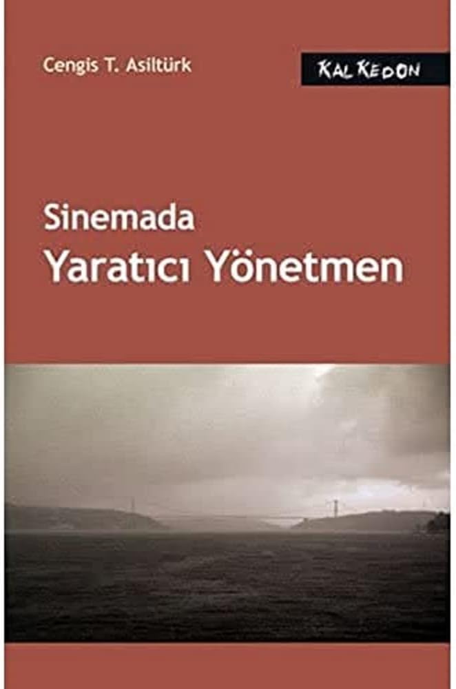 SİNEMADA YARATICI YÖNETMEN