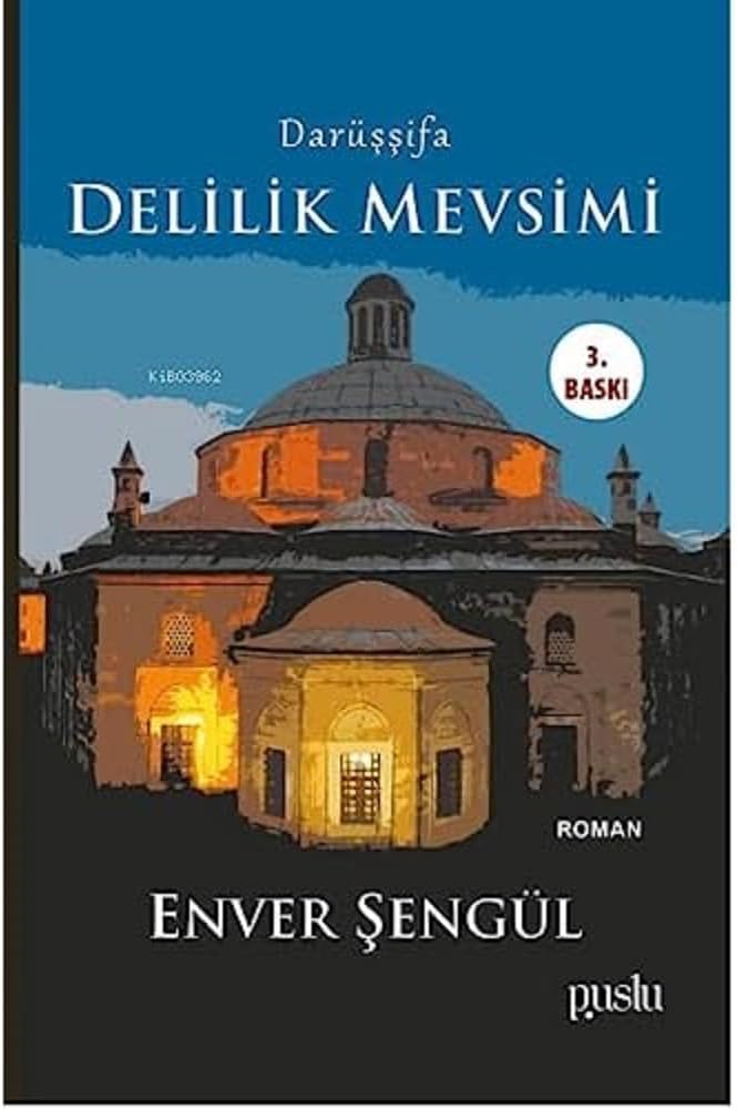 Darüşşifa - Delilik Mevsimi