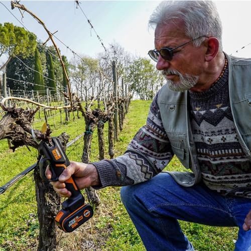 WG330E 20Volt 2.0A Li-ion Tek Akülü Profesyonel Kömürsüz Dal Budama Makası