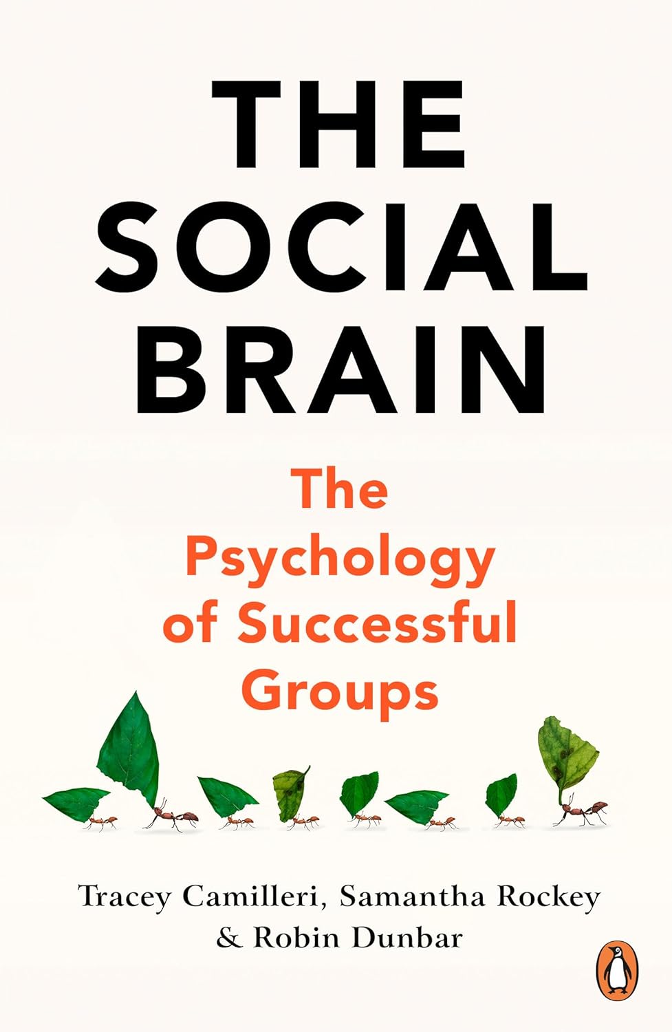 The Social Brain: The Psychology of Successful Groups